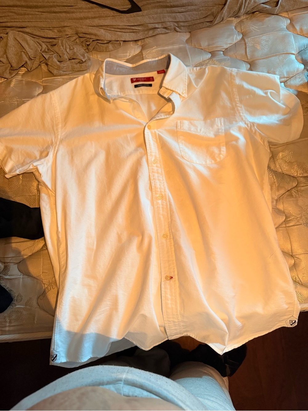 Daniel Cremieux White Short-Sleeve Button-Down Shirt